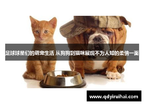 足球球星们的萌宠生活 从狗狗到猫咪展现不为人知的柔情一面